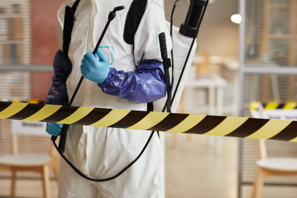 Professional Sewage Cleanup technician working in Hubbardston, MI
